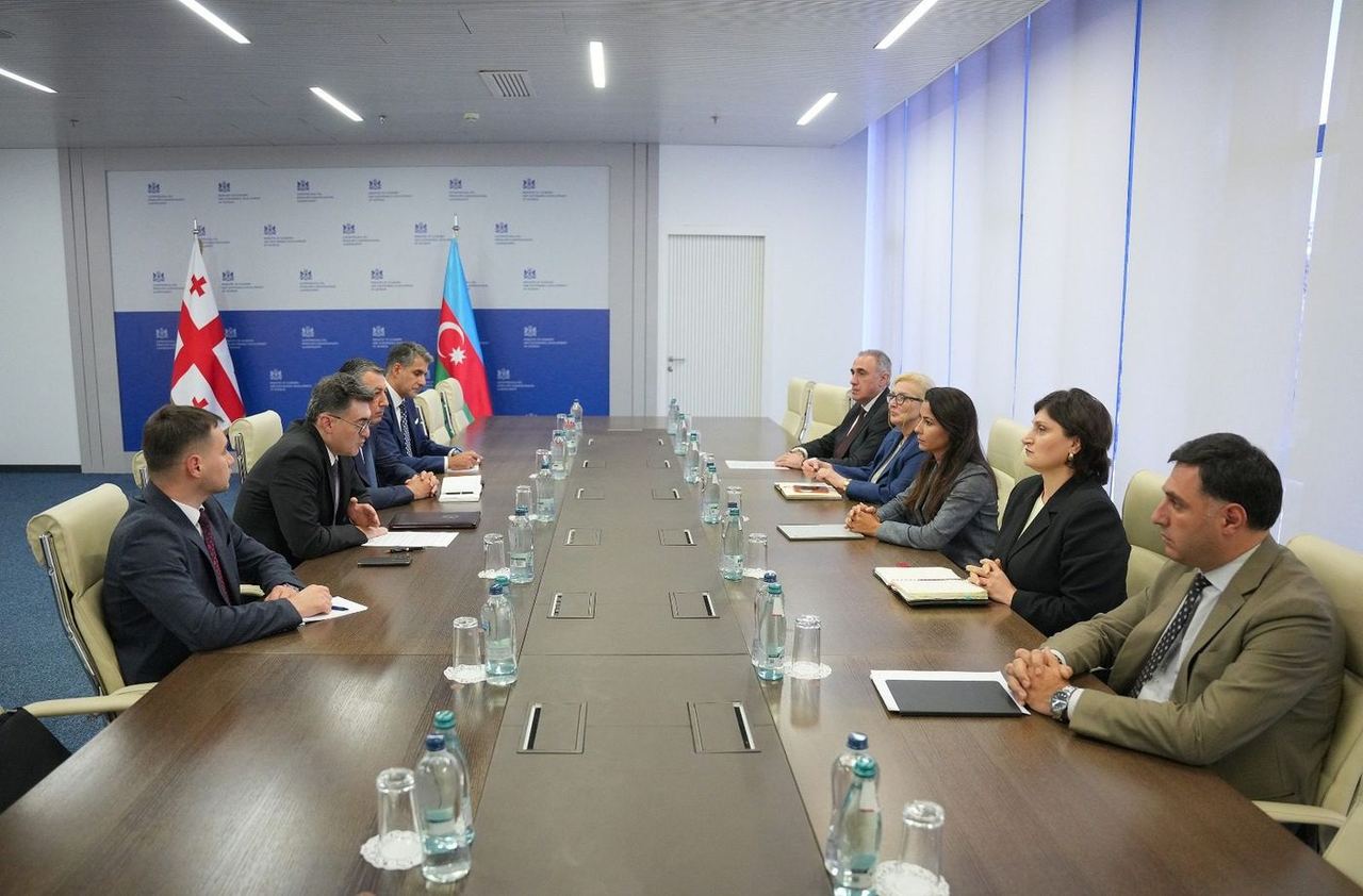 მარიამ ქვრივიშვილი აზერბაიჯანის ენერგეტიკის მინისტრის მოადგილეს ორხან ზეინალოვს შეხვდა
