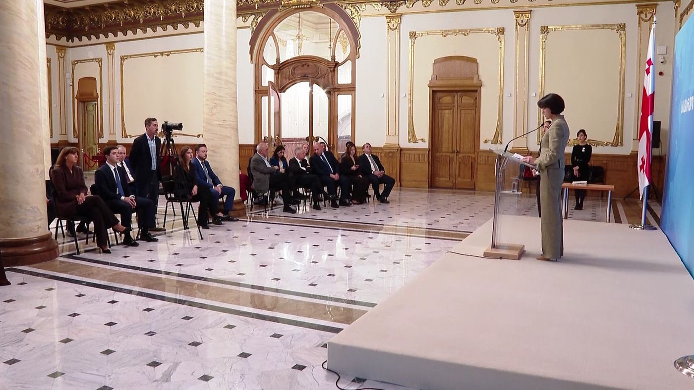 საქართველოს საგარეო საქმეთა სამინისტროს ინიციატივით, ახალგაზრდა დიპლომატებისთვის პროფესიული გაცვლითი პროგრამა განხორციელდა