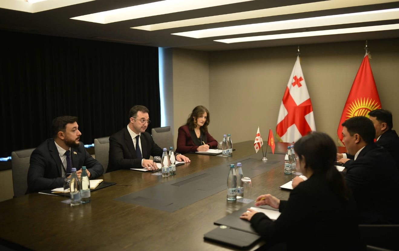 დავით სონღულაშვილი ყირგიზეთის ბუნებრივი რესურსების, ეკოლოგიისა და ტექნიკური ზედამხედველობის მინისტრს შეხვდა