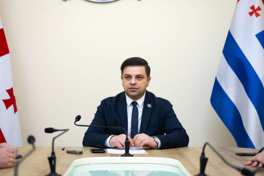 ცოტნე ანანიძე ევროპარლამენტარ დანიუს ჟალიმასის განცხადებაზე: ამგვარი განცხადებები არის "ნაყიდი ხელოვნური სუნთქვა ოპოზიციისთვის" და ლობისტური თვალთმაქცობა, თითქოს დარდობს საქართველოზე