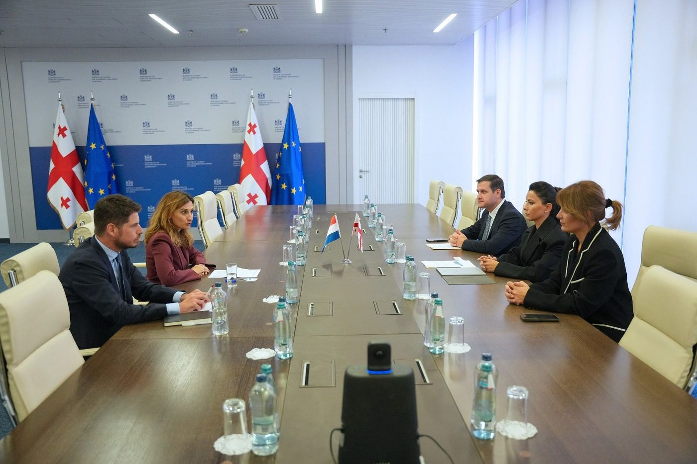 მარიამ ქვრივიშვილი, საქართველოში ნიდერლანდების სამეფოს საგანგებო და სრულუფლებიან ელჩს შეხვდა