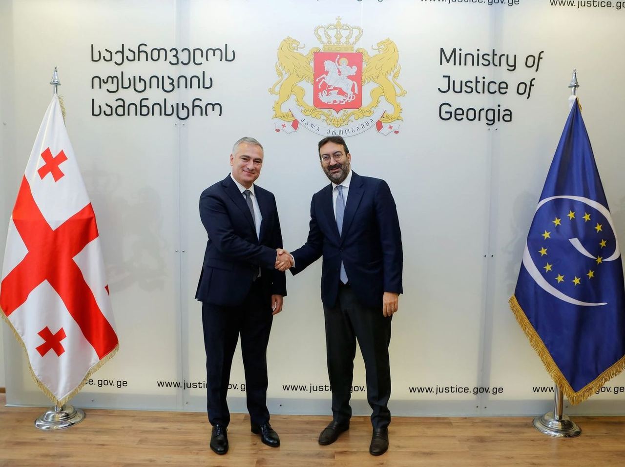 პაატა სალიამ ევროპის საბჭოს დელეგაციას უმასპინძლა