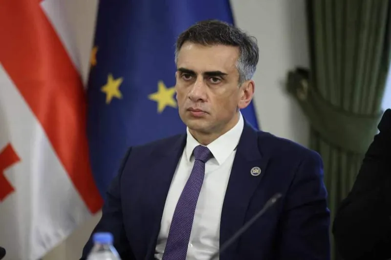 გიორგი კახიანი – კონსტიტუციურ პროცესზე რაიმე კრიტიკული განცხადებების გაკეთება არასწორია, საჯაროობაც არის გარანტია, რომ პროცესი იქნება მიუკერძოებელი