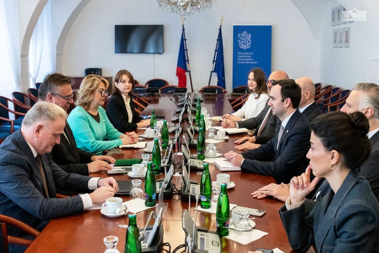 საქართველოს საპარლამენტო დელეგაციამ ჩეხეთის პარლამენტის დეპუტატთა პალატის თავმჯდომარის მოადგილესთან ორმხრივი ურთიერთობები განიხილა