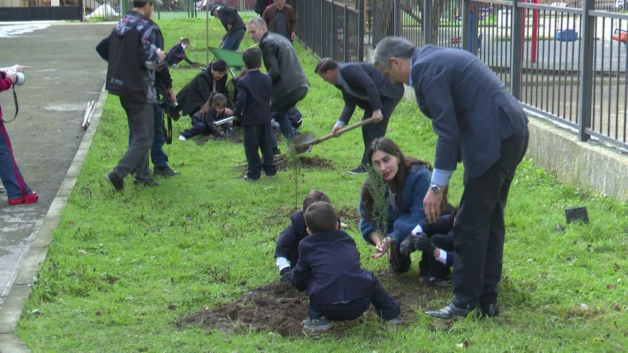პროგრამის "ჩემი პირველი ნერგი" ფარგლებში, გამწვანების ღონისძიება შუახევის მუნიციპალიტეტშიც გაიმართა