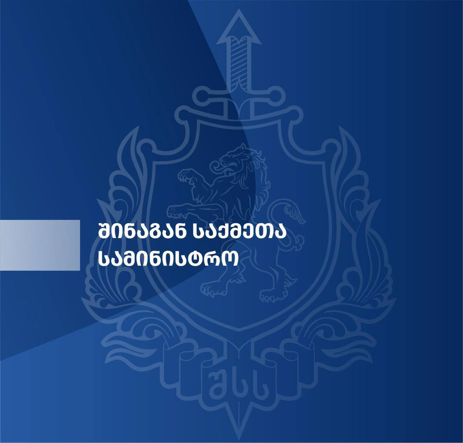 ჯგუფური ძალადობის ორგანიზების, ძარცვისა და გამოძალვის ბრალდებით შვიდი პირი დააკავეს
