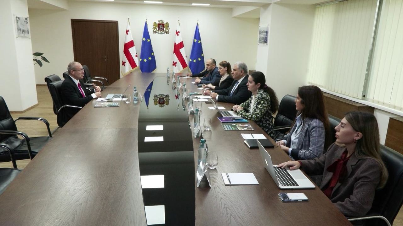 მიხეილ სარჯველაძე ჯანმრთელობის მსოფლიო ორგანიზაციის გენერალური დირექტორობის კანდიდატს შეხვდა