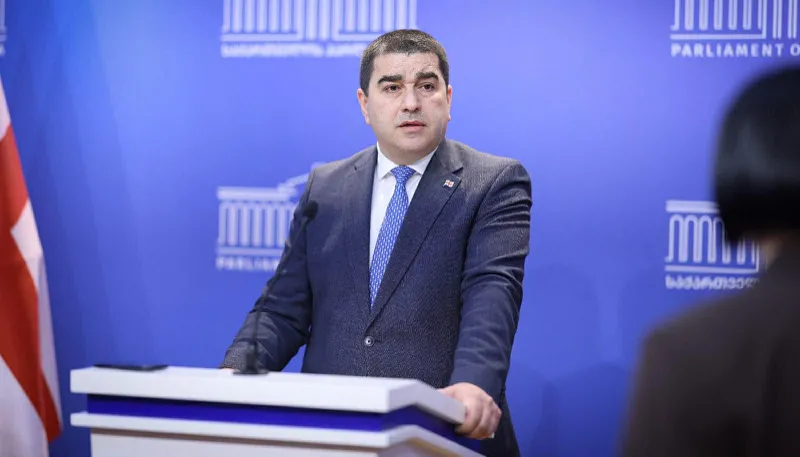შალვა პაპუაშვილი: მარტა კოსს შეუძლია, საკუთარი ხატოვანი გამონათქვამები კიდევ ბევრჯერ გაიმეოროს, ბრიუსელისთვის რომ მოგვესმინა, საქართველო დღეს მხოლოდ ქაღალდზე იქნებოდა სახელმწიფო
