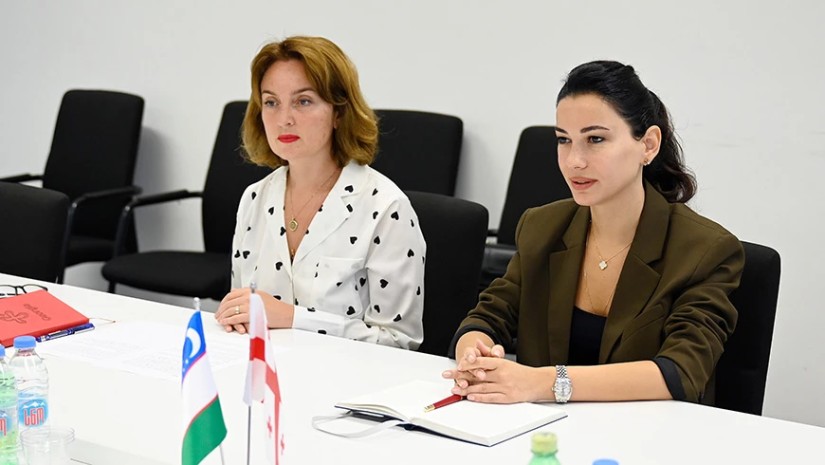 2027 წელს ტურიზმის ეროვნული ადმინისტრაციის ბიუჯეტი 68 მილიონ ლარამდე იზრდება