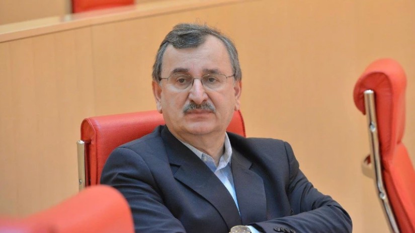 "უფლებამოსილების დროებითი შეჩერების“ ნორმა კანონში არ არსებობს - რომან გოცირიძე ნანა ყეინიშვილის საქმეზე