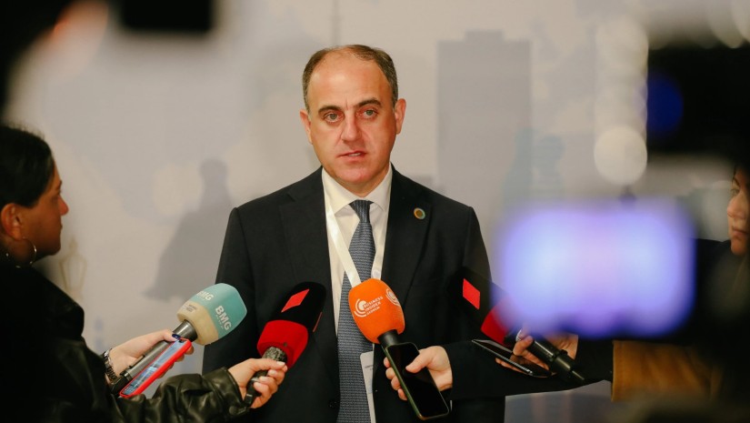 ინვესტორები მსხვილი ჰესებით დაინტერესებულები არიან - დავით ნარმანია