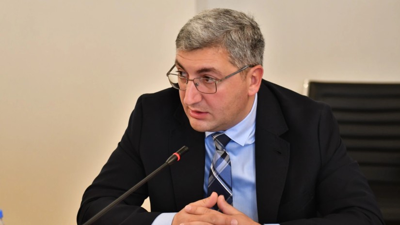 "საწვავზე აქციზის თუნდაც განახევრება შედეგს ვერ მოგვცემს" - ფინანსთა მინისტრის მოადგილე