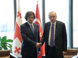 ირაკლი კობახიძე თურქეთის პრეზიდენტს შეხვდა