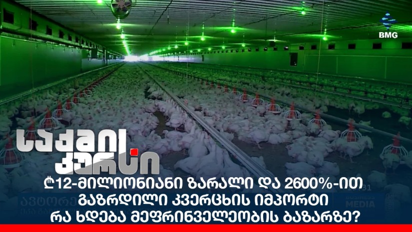 ₾12-მილიონიანი ზარალი და 2600%-ით გაზრდილი კვერცხის იმპორტი - რა ხდება მეფრინველეობის ბაზარზე?