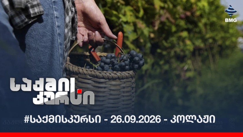 #საქმისკურსი - 26.09.2026 - კოლაჟი
