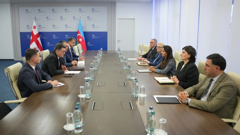 მარიამ ქვრივიშვილი აზერბაიჯანის ენერგეტიკის მინისტრის მოადგილეს შეხვდა - რა განიხილეს?