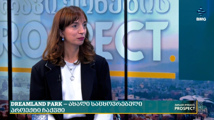 DREAMLAND PARK — ახალი საცხოვრებელი პროექტი ჩაქვში - ინტერვიუ ვერიკო სუჯაშვილთან;