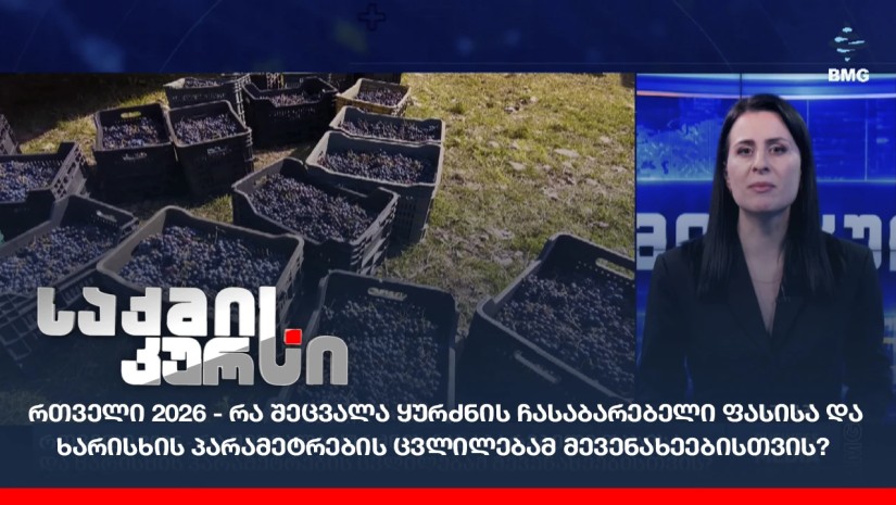 რთველი 2026 - რა შეცვალა ყურძნის ჩასაბარებელი ფასისა და ხარისხის პარამეტრების ცვლილებამ მევენახეებისთვის?