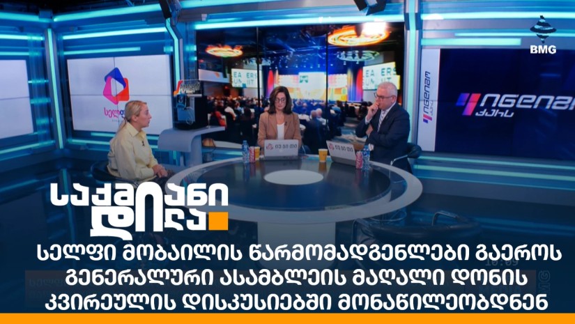 სელფის წარმომადგენლები გაეროს გენერალური ასამბლეის მაღალი დონის კვირეულის დისკუსიებში მონაწილეობდნენ
