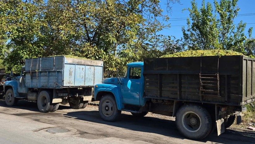 დღეისთვის 17 000-მდე მევენახემ 263 ათასი ტონა ყურძენი ჩააბარა | ღვინის ეროვნული სააგენტო
