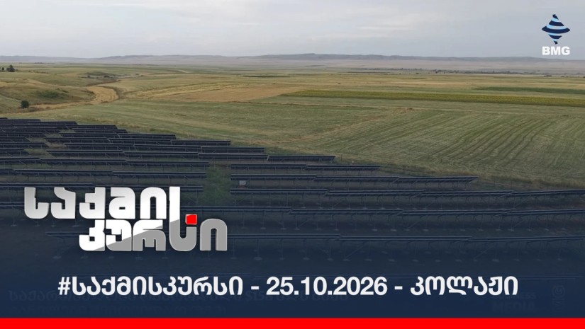 #საქმისკურსი - 25.10.2026 - კოლაჟი