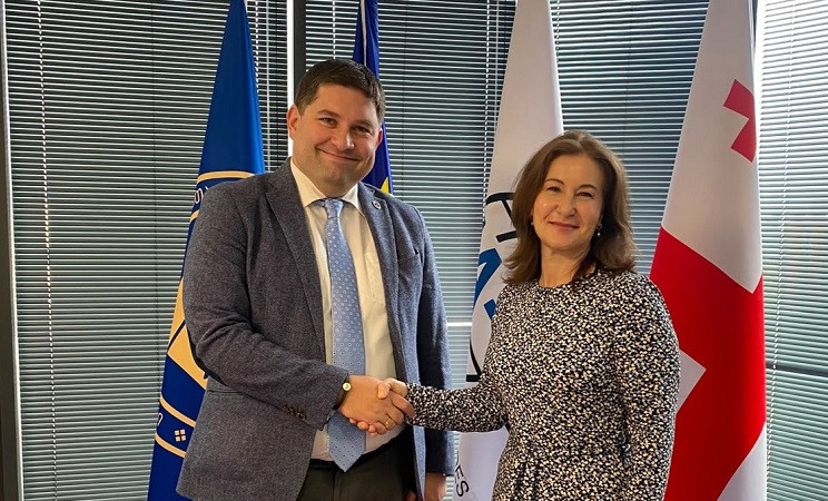 საქართველოს ადვოკატთა ასოციაციის თავმჯდომარე UNHCR Georgia-ს ხელმძღვანელს შეხვდა