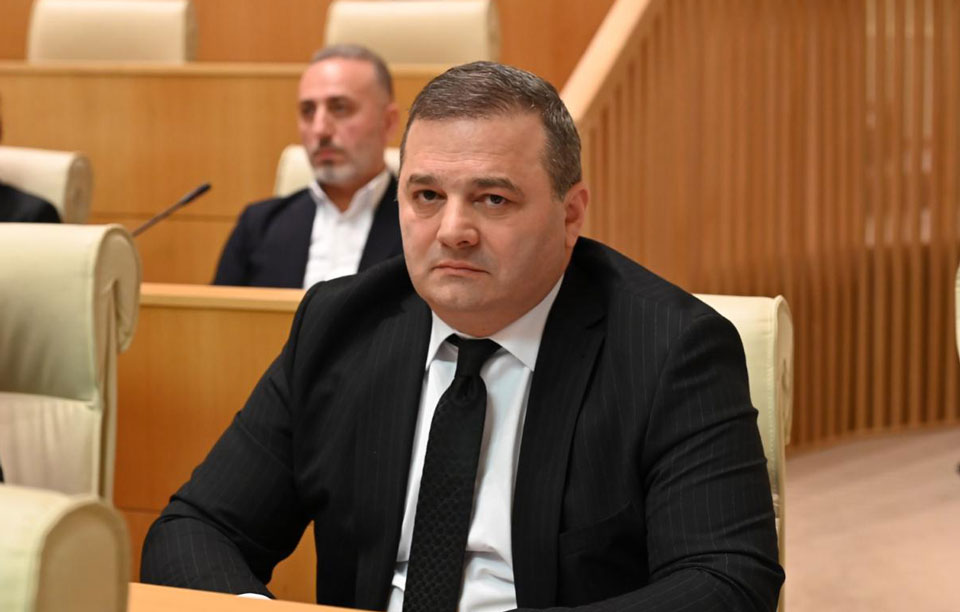 შალვა კერესელიძე – ევროკავშირთან ურთიერთობების გაფუჭებაში ხელისუფლებაა დამნაშავე