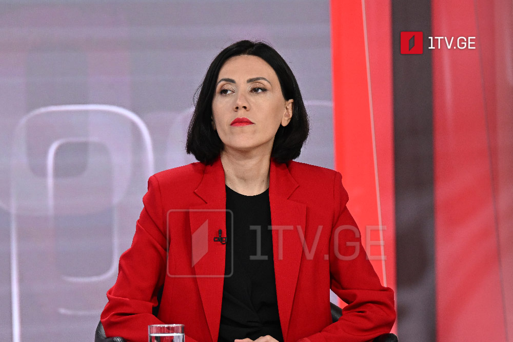 ანა წითლიძე – „ქართული ოცნების“ წარმომადგენლობა დაბალი დონის შემადგენლობით იყო წარმოდგენილი, არა მხოლოდ სამართლებრივი არგუმენტების წარდგენა გაუჭირდათ, არამედ ბევრი იურიდიული ტერმინიც ვერ გაარჩიეს