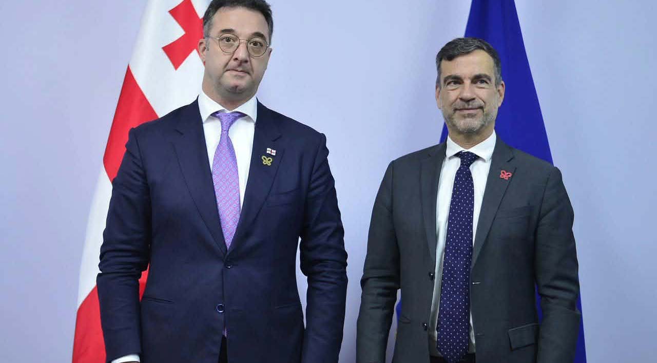 დავით სონღულაშვილი ერევანში, ევროპის საბჭოსა და ბერნის კონვენციის წარმომადგენლებს შეხვდა