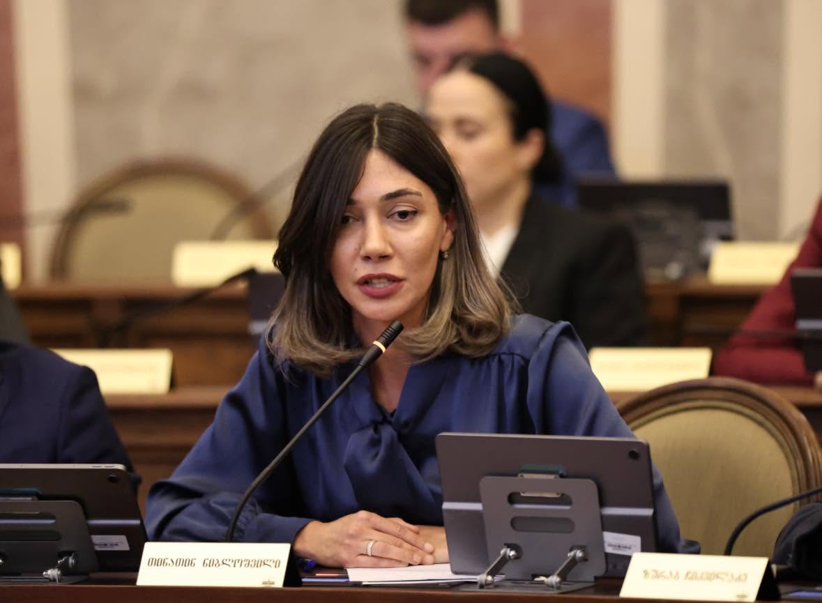 თინათინ ნიბლოშვილი: ადგილობრივი თვითმმართველობა არის ინსტიტუცია, რომელიც ყველაზე ახლოს დგას მოსახლეობასთან, ამიტომ ჩვენ გვაქვს რეალური შესაძლებლობა საერთაშორისო კამპანიები რეალურ საქმედ ვაქციოთ