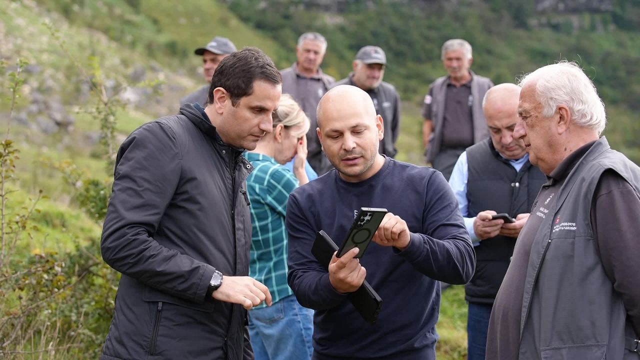 ტყიბულის სატყეო უბანზე დეგრადირებული ტყის აღდგენის პროექტი განხორციელდება