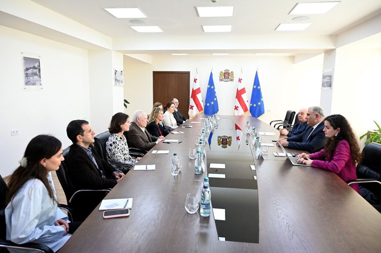 მიხეილ სარჯველაძე „ემორის უნივერსიტეტის“ პროფესორებს შეხვდა