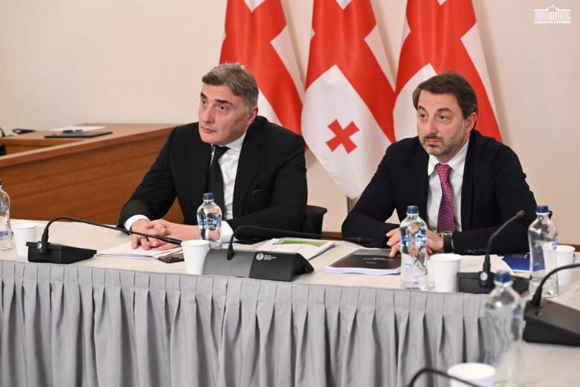 პარლამენტის ეკონომიკური პოლიტიკის კომიტეტმა ენერგეტიკისა და წყალმომარაგების სექტორში მომხმარებელთა უფლებრივი მდგომარეობის შესახებ 2025 წლის ანგარიში განიხილა