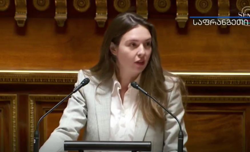 საფრანგეთის სენატის წევრი: აუცილებელია დავხუროთ უცხოური დაფინანსების ის არხები, რომელთა მეშვეობითაც შესაძლებელია პოლიტიკურ ცხოვრებაზე ზემოქმედება