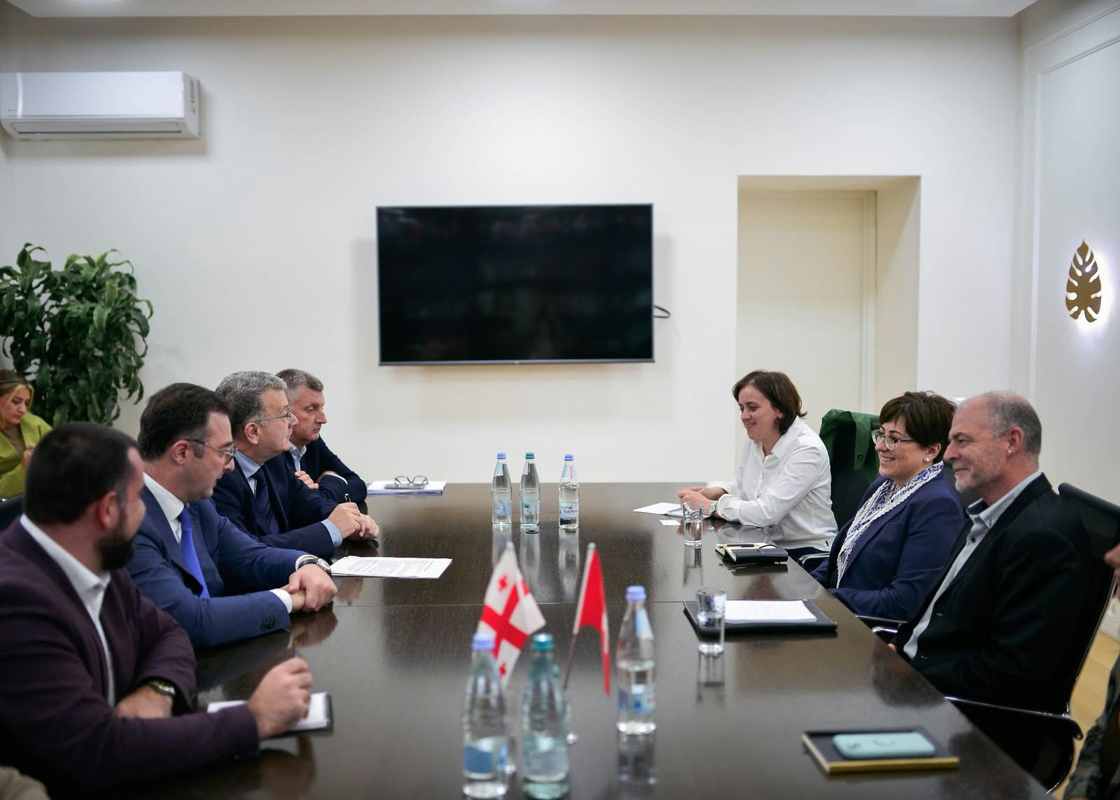 დავით სონღულაშვილი შვეიცარიის განვითარებისა და თანამშრომლობის სააგენტოს (SDC) პროექტის ხელმძღვანელს, როჯერ ოკლის შეხვდა