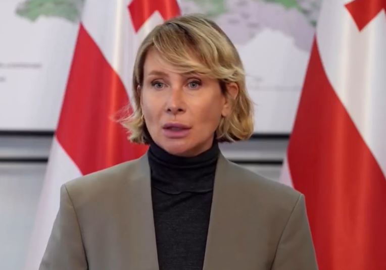 ნინო წილოსანი: როდესაც შენს გაზეთის ფურცლებს და საინფორმაციო ველს უთმობ ისეთ ბრალდებებს, რომელიც აზიანებს არა მხოლოდ რომელიმე პოლიტიკოსს, ან საჯარო მოხელეს, არამედ მთლიანად სახელმწიფოს, ეს არ შეიძლება ჩაითვალოს უწყინარ მცდელობად
