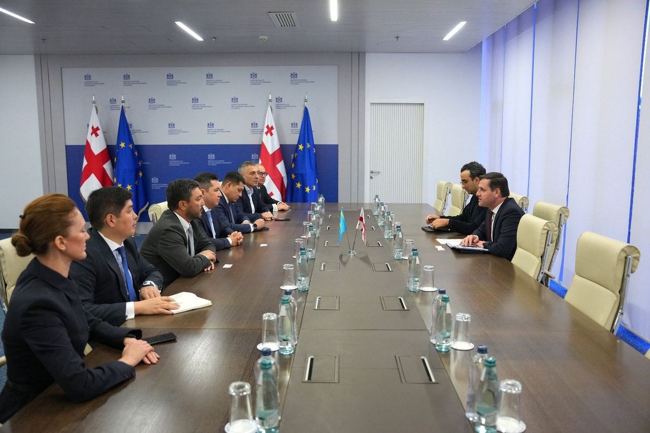 ეკონომიკისა და მდგრადი განვითარების მინისტრის მოადგილე გენადი არველაძე ასტანის საერთაშორისო ფინანსური ცენტრის (AIFC) გუბერნატორს რენატ ბექტუროვს შეხვდა