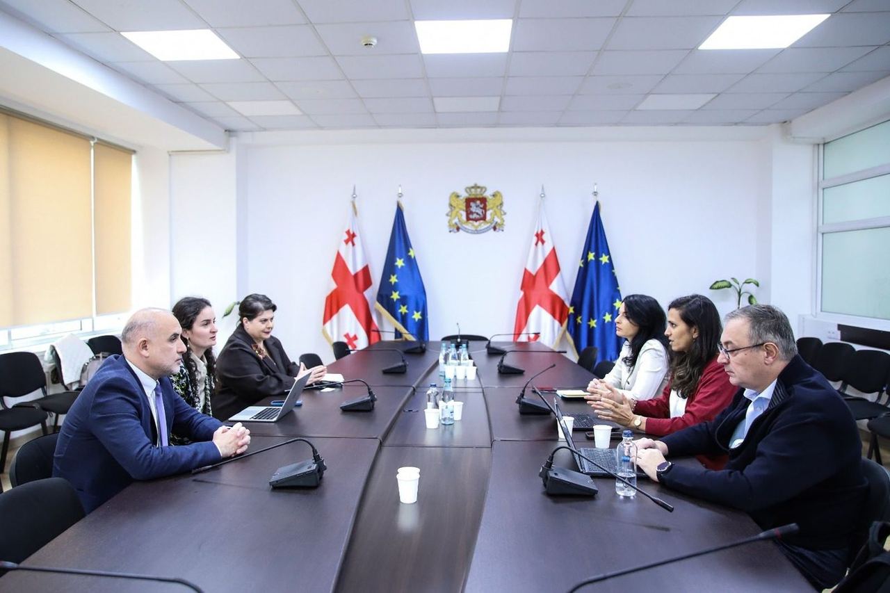 ირაკლი ფურცელაძე აზიის განვითარების ბანკის (ADB) წარმომადგენლებს შეხვდა