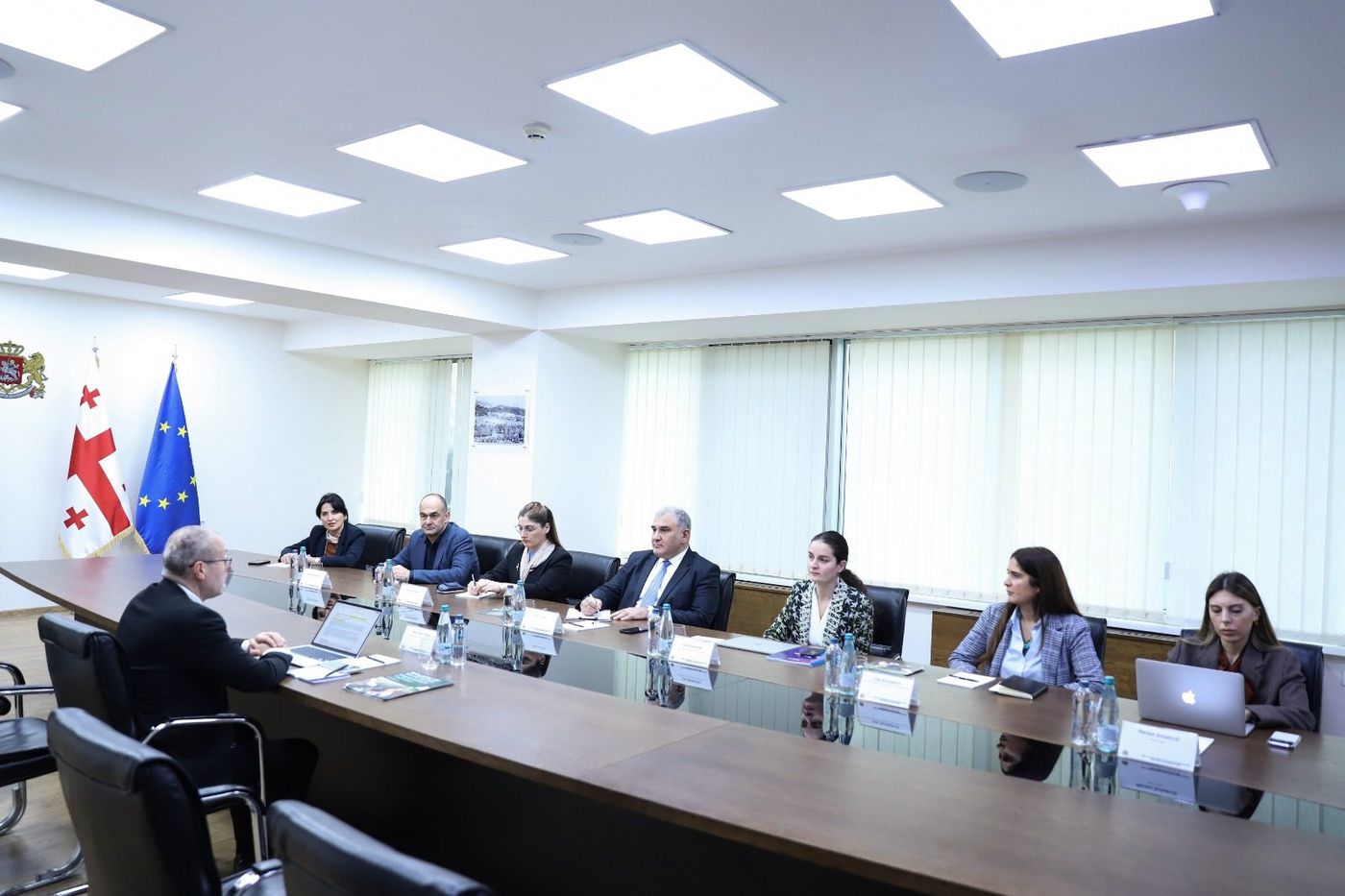 მიხეილ სარჯველაძე ჯანმოს გენერალური დირექტორობის კანდიდატ ჰანს კლუგეს შეხვდა