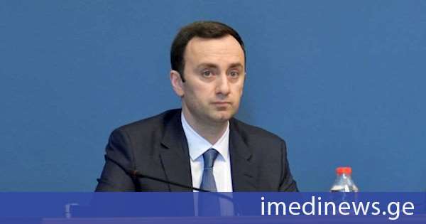 ლევან მახაშვილი ახვლედიანის ორგანიზებულ სემინარზე: აღმაშფოთებელია, რომ ასე ფარულად, მალულად და როგორც ჩანს კანონის დარღვევით ხდება საქართველოს კანონმდებლობის გვერდის ავლა