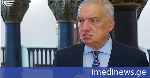 გიორგი ვოლსკი: შეტევა საქართველოზე, მის სუვერენიტეტზე ატარებს კონსპირაციულ ხასიათს