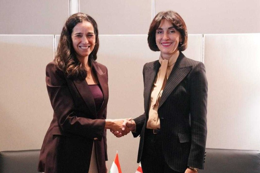მაკა ბოჭორიშვილი უნგრელ კოლეგას ანიტა ორბანს შეხვდა
