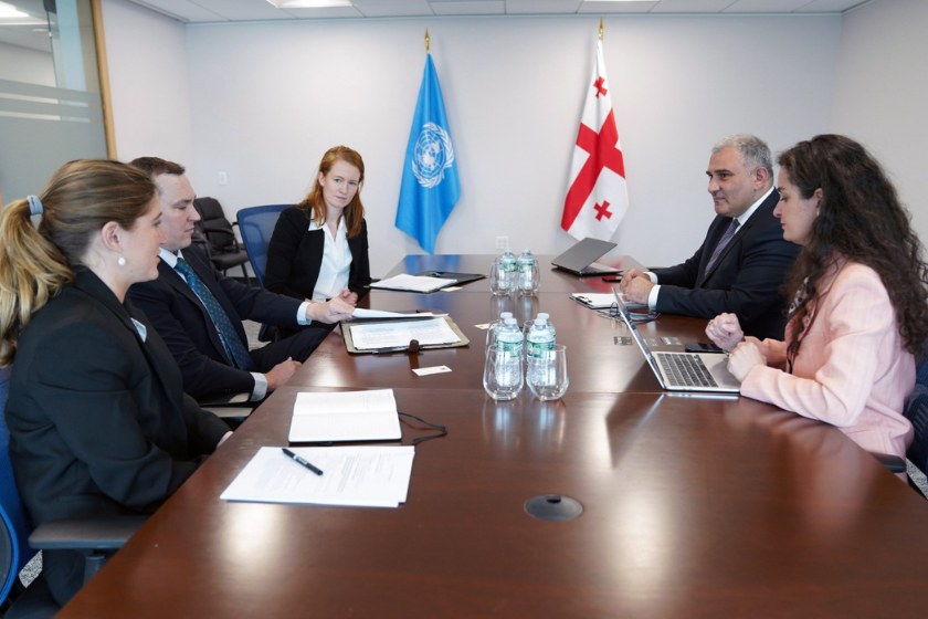 მიხეილ სარჯველაძე ბიოუსაფრთხოების მიმართულებით მომუშავე კომპანია Perimeter-ის წარმომადგენლებს შეხვდა