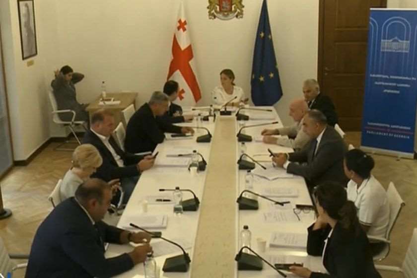 2027 წლის ბიუჯეტის პროექტის საკომიტეტო განხილვა პარლამენტში დღეიდან იწყება