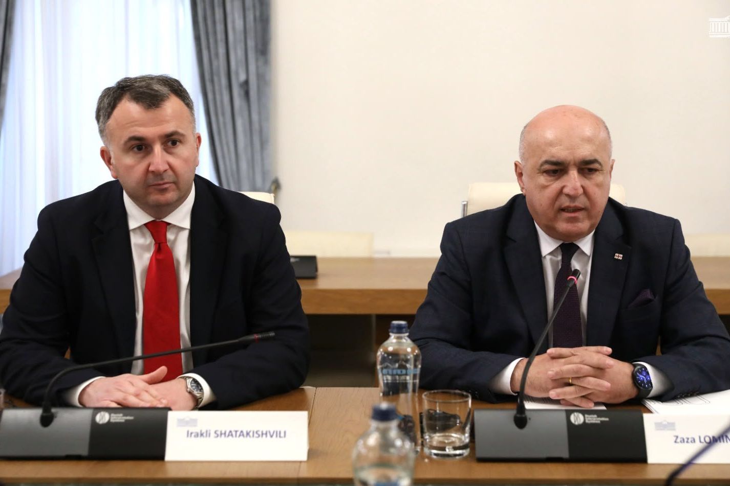 ზაზა ლომინაძე და ირაკლი შატაკიშვილი აღმოსავლეთ და ცენტრალური ევროპისა და ცენტრალური აზიის ნარკოპოლიტიკის კომისიის წარმომადგენლებს შეხვდნენ