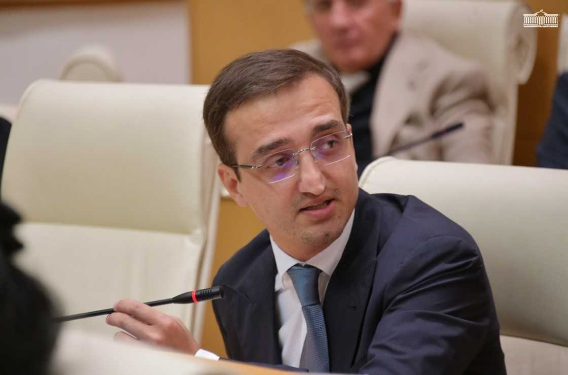 თორნიკე ფაღავა: საქართველოს აქვს თავისი დამოუკიდებელი, მშვიდობიანი, სუვერენული, ევროინტეგრაციის გზა და სტრატეგიული ხედვა