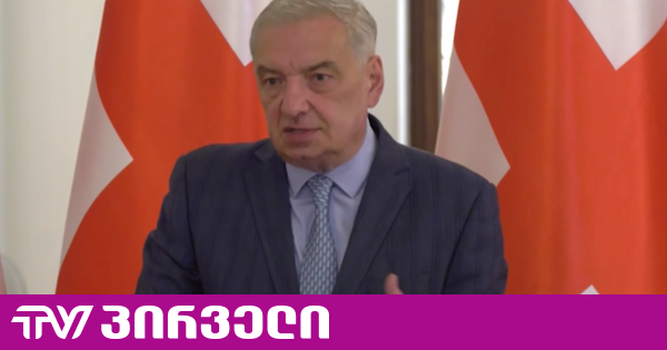 ვოლსკი გახარიას პარტიის კანონპროექტზე მხარდაჭერას თითის “ინერციით“ მიჭერას აბრალებს