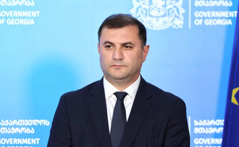 ანი ნადარეიშვილი ამტკიცებს, რომ სუს-ის ახალი შეფი ბაჩო ახალაიას "შვილების დაობლებით ემუქრებოდა"