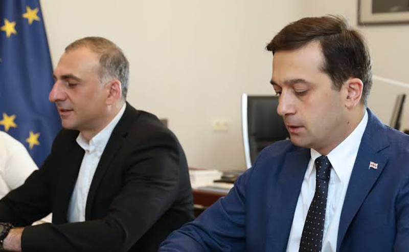იოსელიანმა სააპელაციოს ელისაშვილის საქმეზე სასამართლოს მეგობრის მოსაზრებით მიმართა