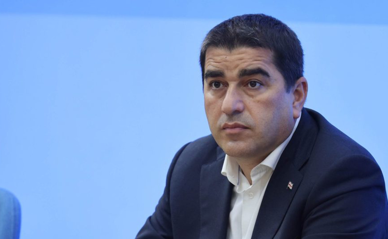 ჰერჩინსკი ვერაფერსაც ვერ მიმხვდარა, ვის რაში სჭირდება მისი დამტვრეული ქართული - პაპუაშვილი
